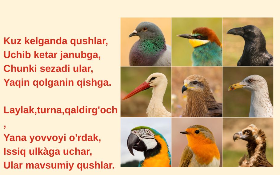 mavsumiy qushlar