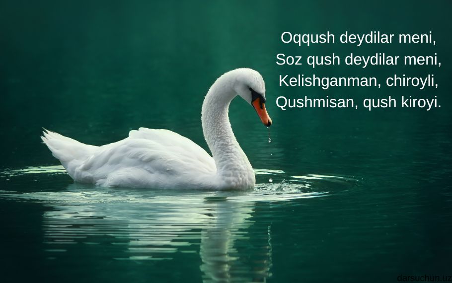 oqqush haqida sher 